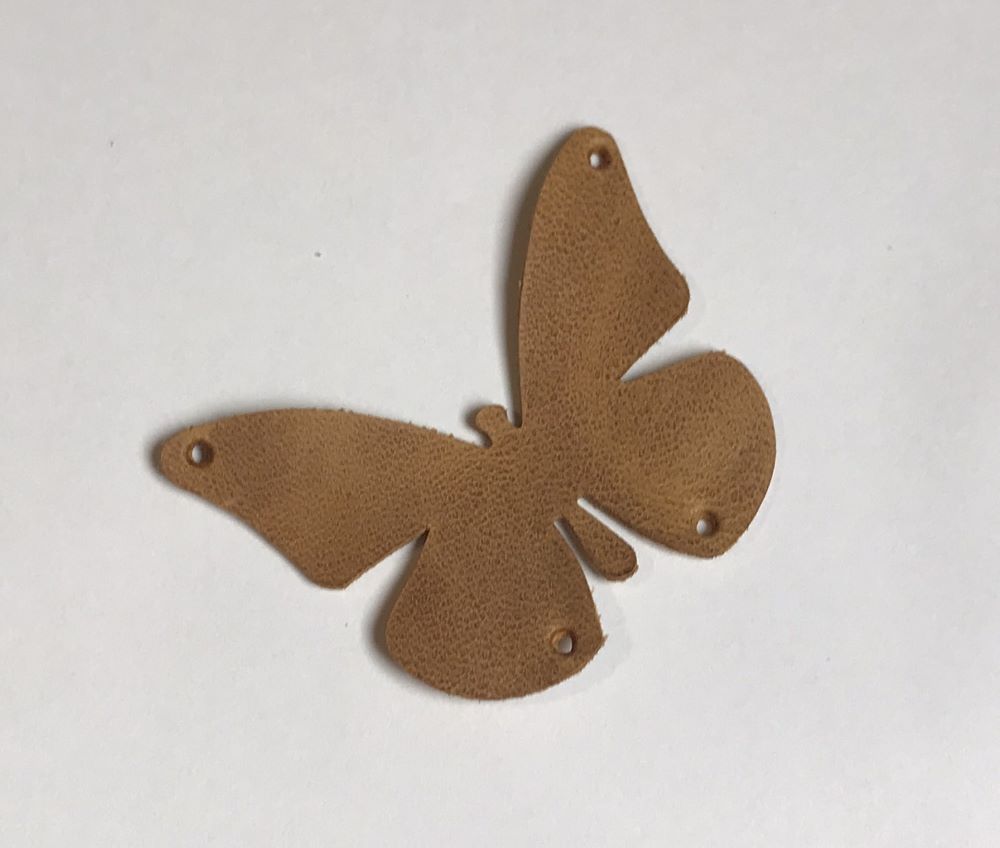 Kožený motýl Sinai