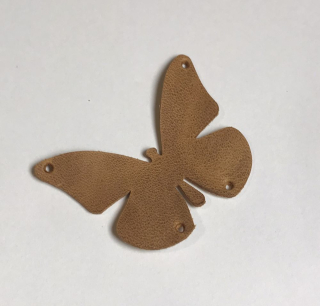 Kožený motýl Sinai